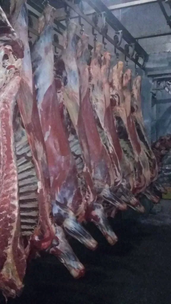 мясо говядина (коровы) в Барнауле