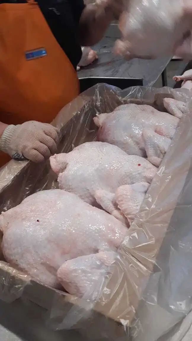 фотография продукта Тушка курицы, маточное стадо