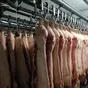 свиньи. Свинина в полутушах, охл, зам в Барнауле и Алтайском крае