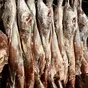 мясо говядина молодняк в Барнауле и Алтайском крае