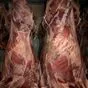 мясо говядины на кости в Барнауле и Алтайском крае 4
