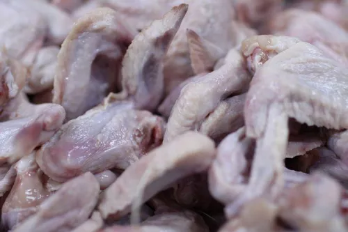 В Алтайском крае в 2023 году увеличат производство мяса птицы почти на 20%