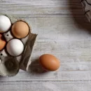 Почти миллион яиц вывезли из Алтайского края в Монголию