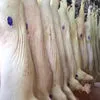 полутуши свиные 2 кат от производителя в Твери и Тверской области 3