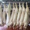 полутуши свиные 2 кат от производителя в Твери и Тверской области