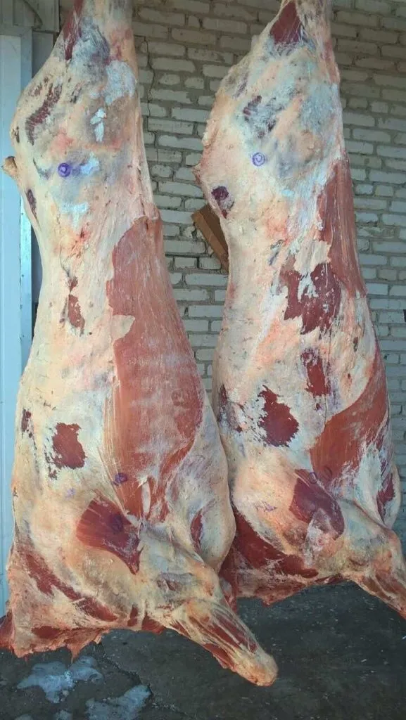 Фотография продукта говядина на кости ГОСТ от 255р