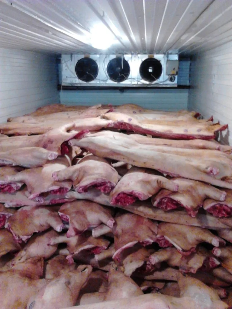 фотография продукта Свинина замороженна  2 к полу туши 20 т.