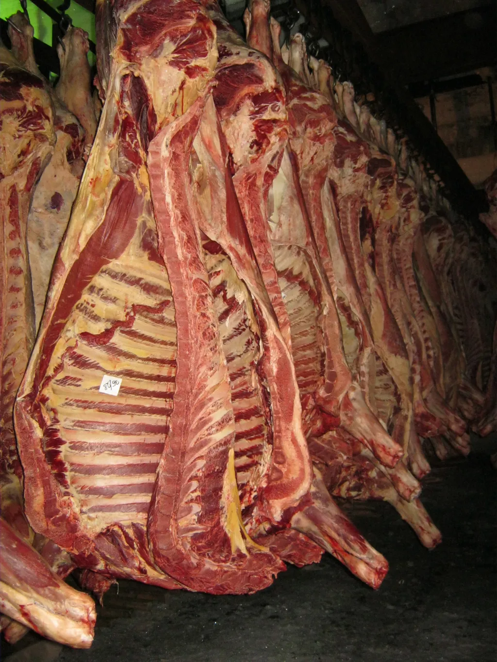 мясо коров 1 категории  Алтай в Бийске