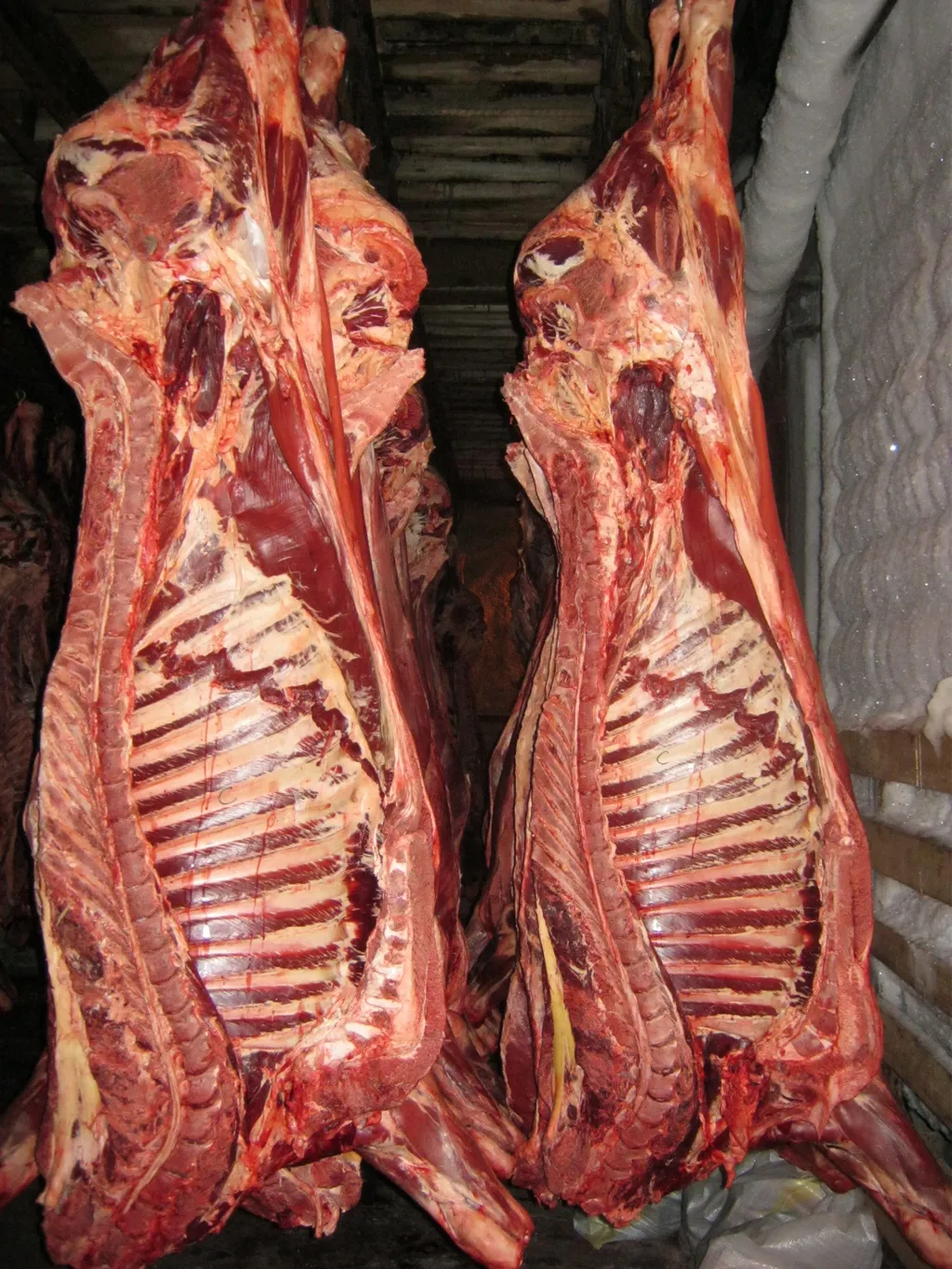 мясо коров 1 категории  Алтай в Бийске 2