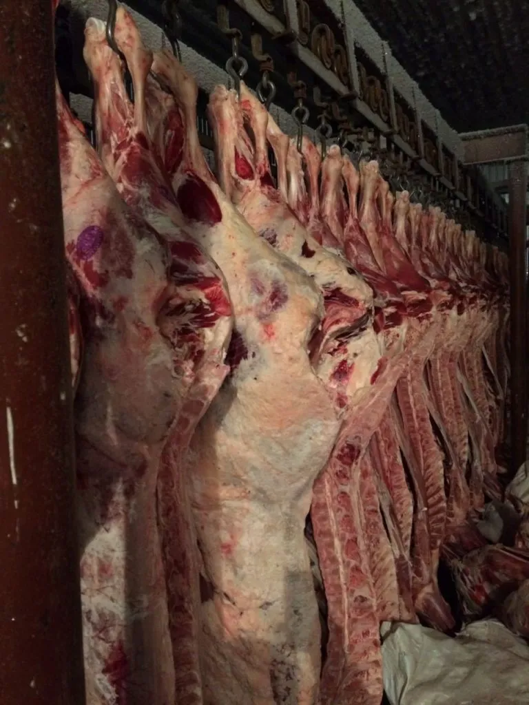 мясо говядины на кости, полутуши в Барнауле 16