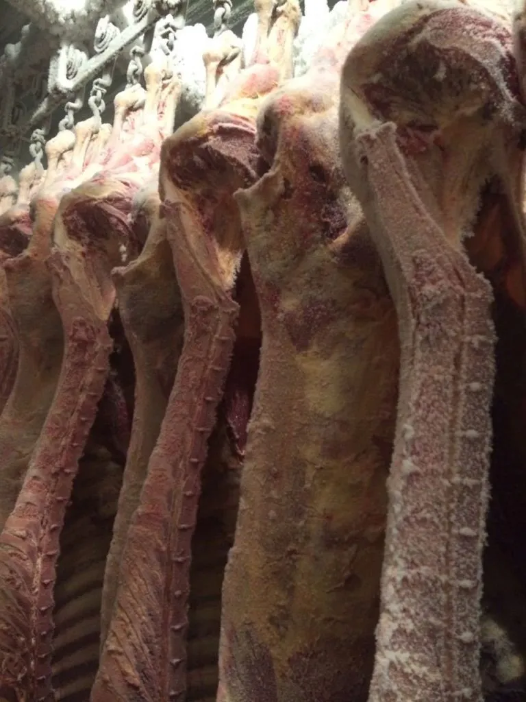 мясо говядины на кости, полутуши в Барнауле 8