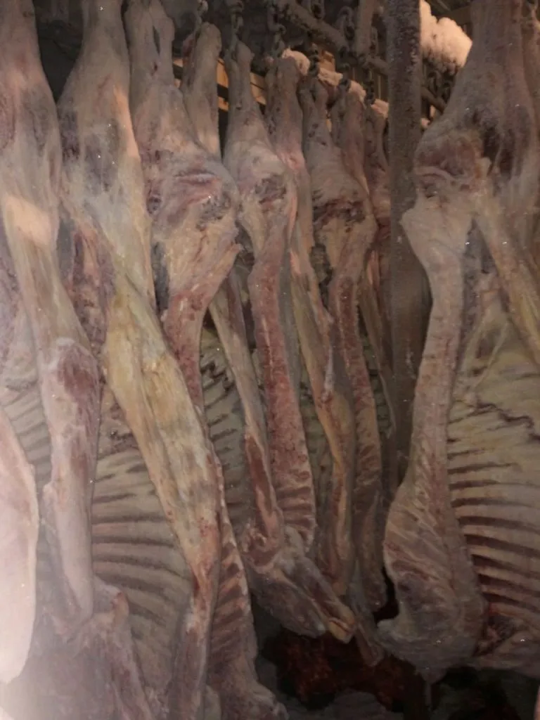 мясо говядины на кости, полутуши в Барнауле 12