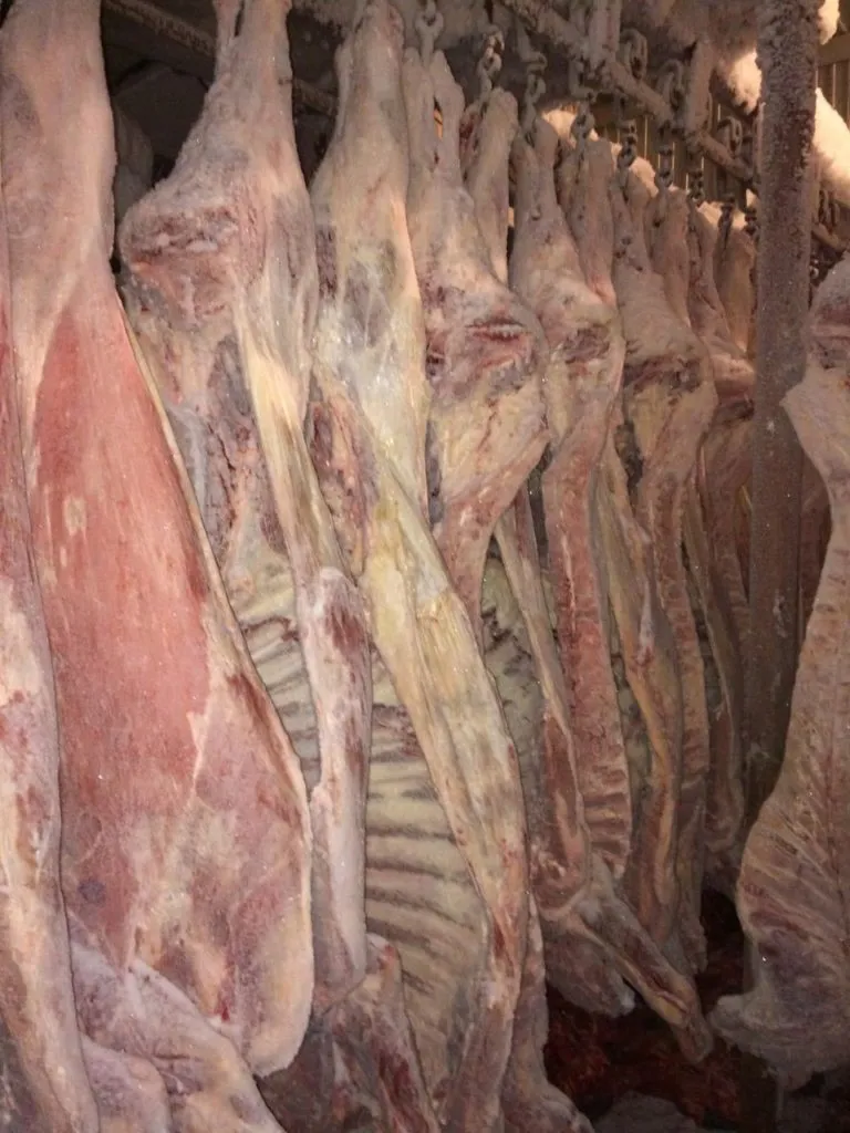мясо говядины на кости, полутуши в Барнауле 9