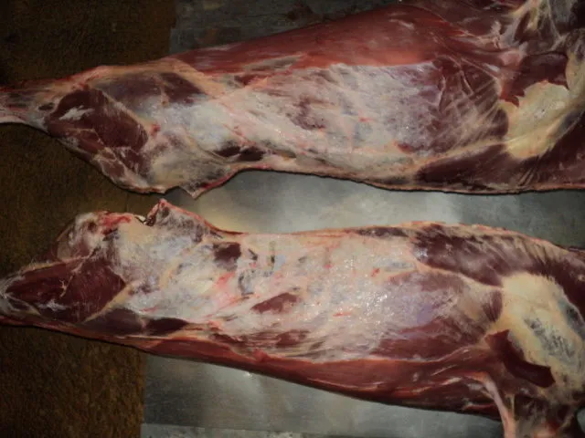 фотография продукта говядина опт, 1 кат, быки, от 215 р