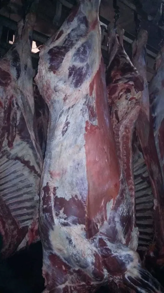 фотография продукта Мясо говядина п/т(быки)