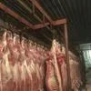 говядина мясо на кости от производителя в Барнауле 8