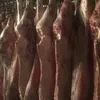 говядина мясо на кости от производителя в Барнауле 3
