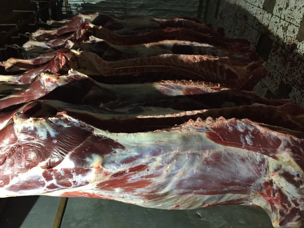 мясо говядина  в Барнауле
