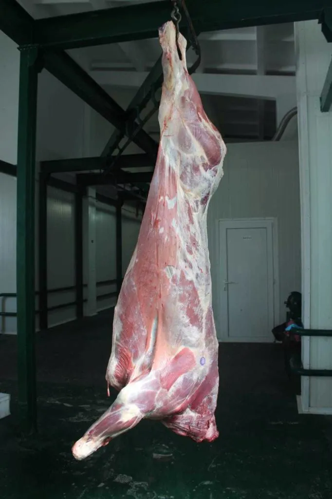 фотография продукта Продажа мяса говядины в п/т и четв.