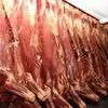 мясо говядины - поставки в Ростов в Барнауле 2