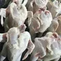 мясо кур несушек от производителя  в Барнауле 3