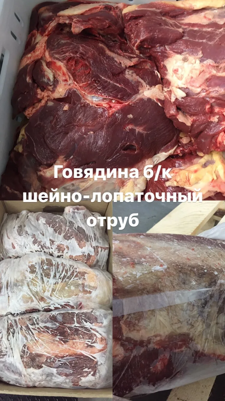 говяжий шейно-лопаточный отруб в Барнауле и Алтайском крае 2