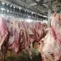 мясо говядины в полутушах в Барнауле и Алтайском крае