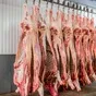 мясо говядины н/к - полутуши, четвертины в Барнауле и Алтайском крае