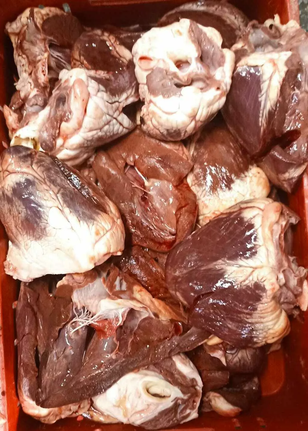 фотография продукта Сердце говяжье в блоках