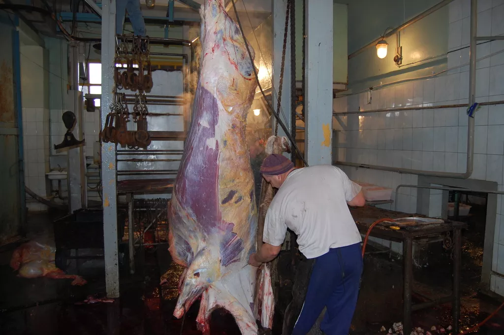 алтайское мясо в Барнауле и Алтайском крае