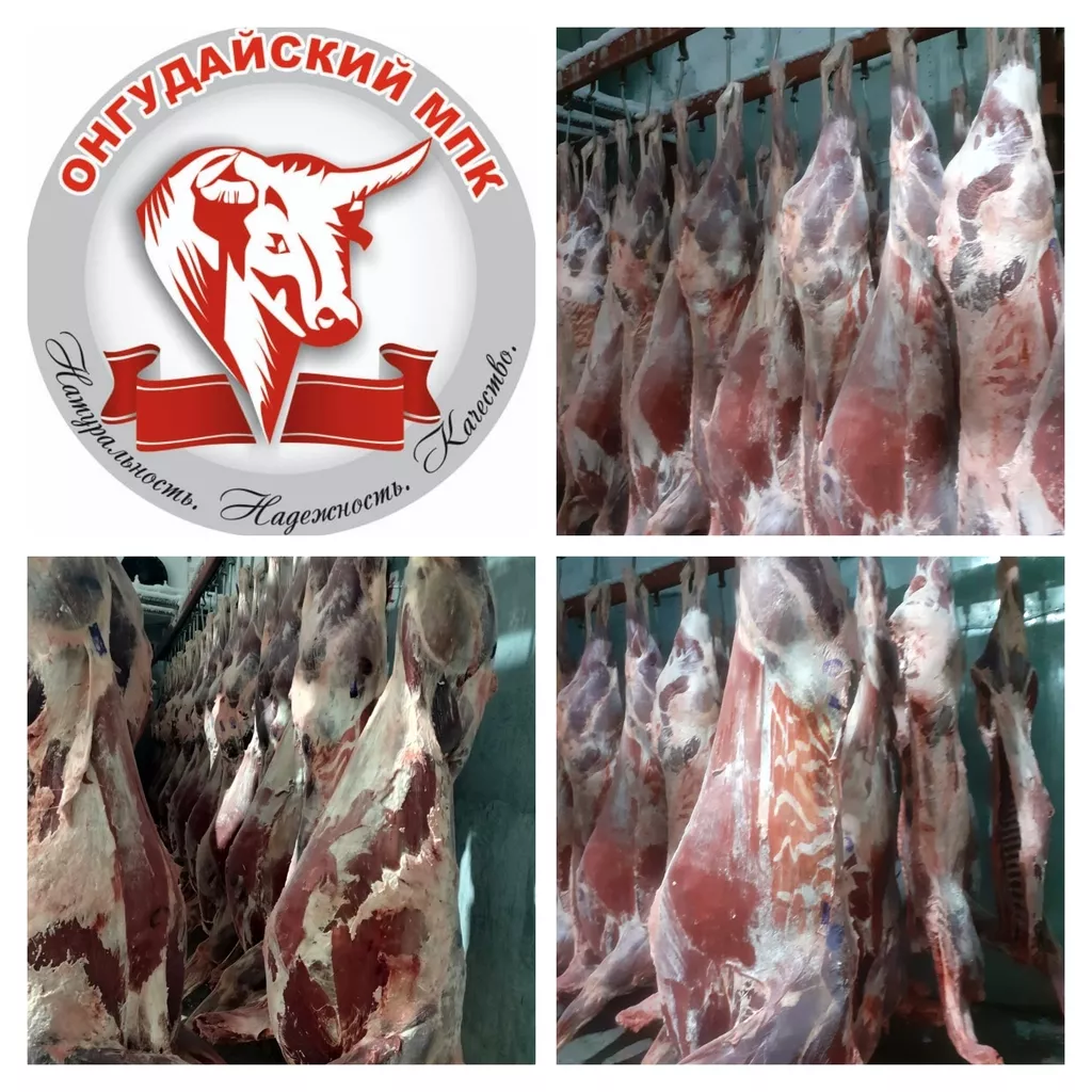 мясо марала в полутушах мороженное в Барнауле и Алтайском крае 4