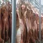 продаем говядину полутуши оптом в Барнауле и Алтайском крае