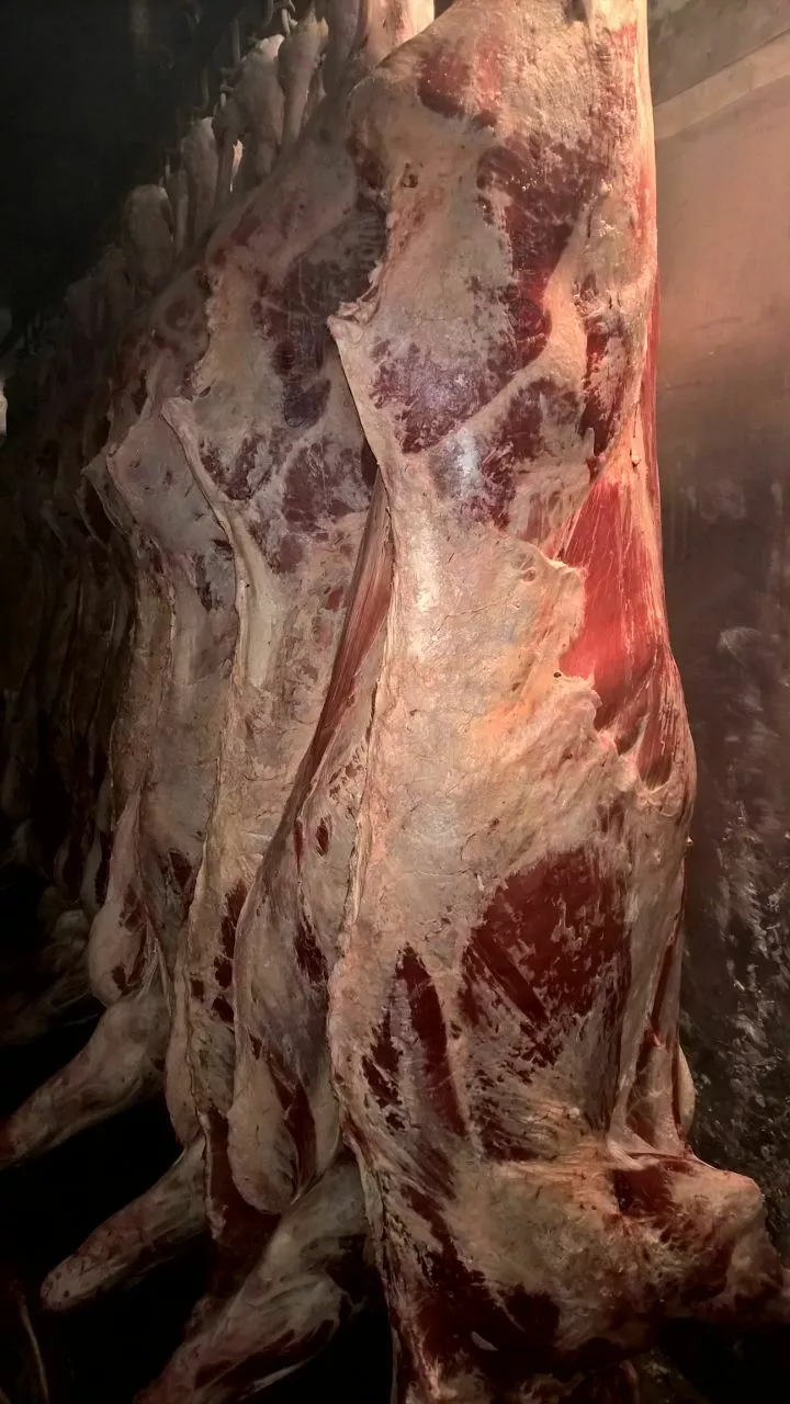мясо говядины на кости в Барнауле и Алтайском крае 2