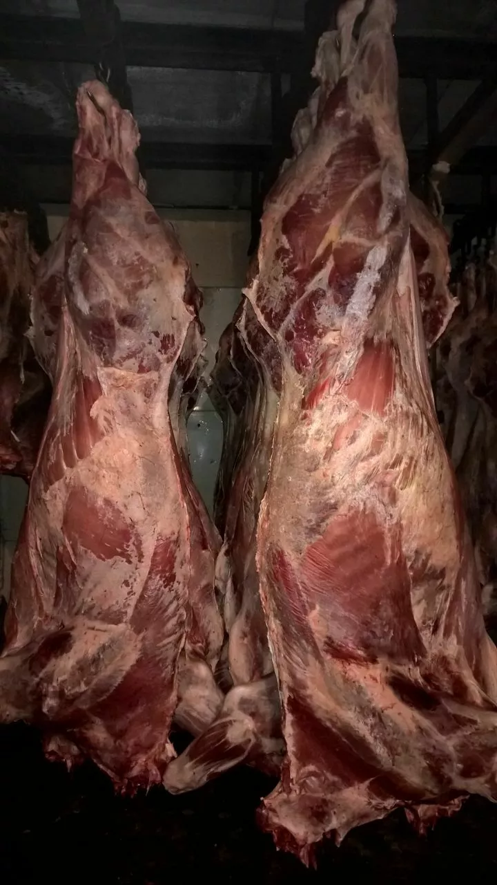 мясо говядины на кости в Барнауле и Алтайском крае 4