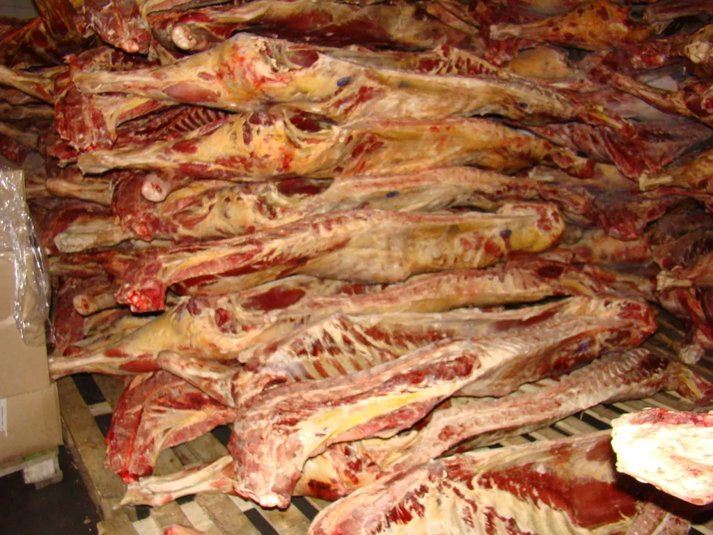 мясо говядины на кости в Барнауле и Алтайском крае 3