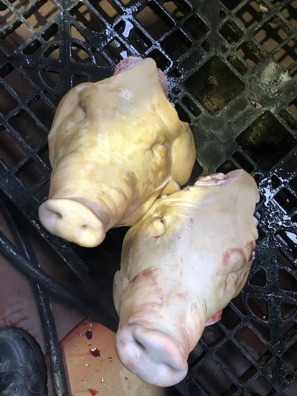 Фотография продукта Головы свиные ограбленные в наличии.
