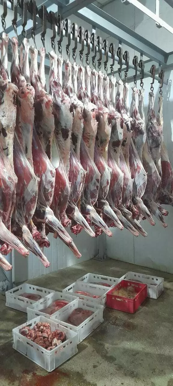мясо марала под заказ в Барнауле и Алтайском крае 2